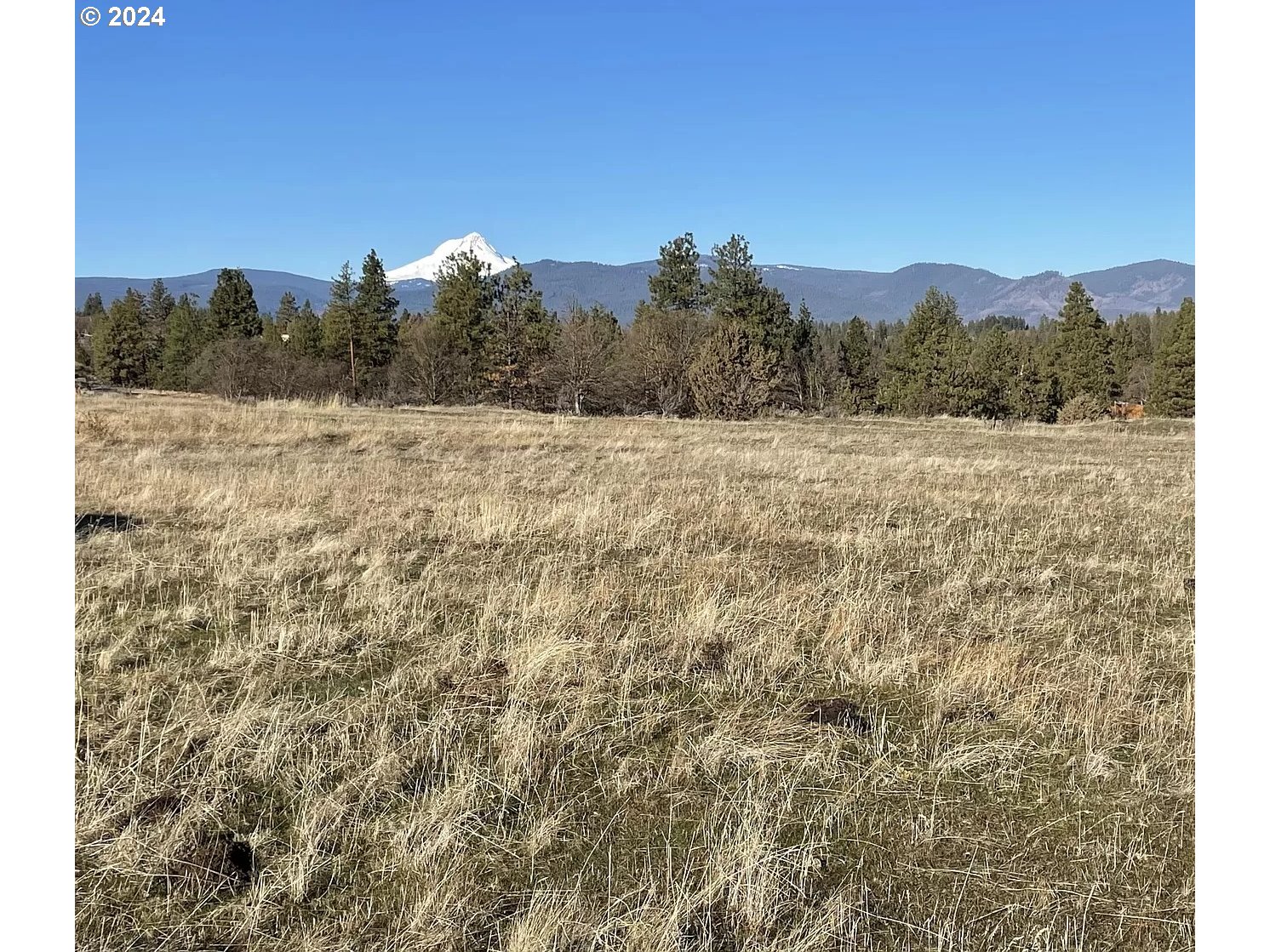 Undisclosed Address Wamic, OR 97063 - Photo 2 of 9