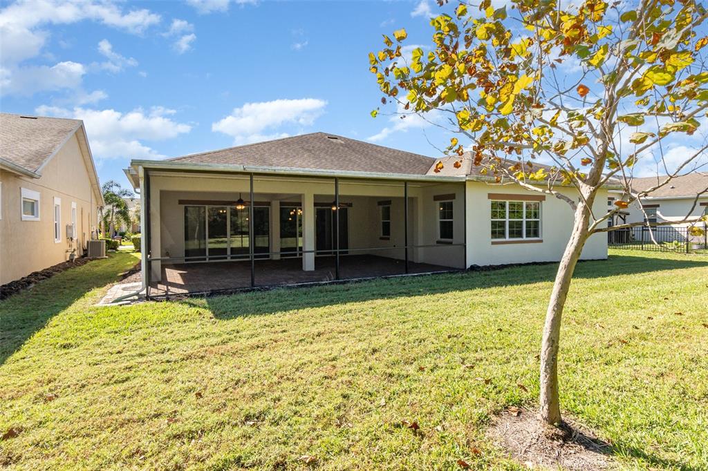 4911 Drawdy Court St. Cloud, FL 34772 - Photo 35 of 37 a view of a house with a big yard and large tree