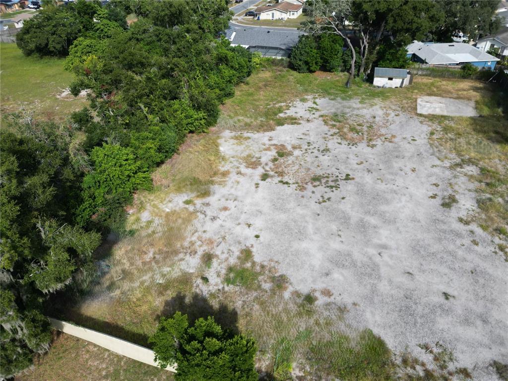 4155 Pine Haven Road New Port Richey, FL 34653 - Photo 4 of 12 a view of a yard with plants and large trees