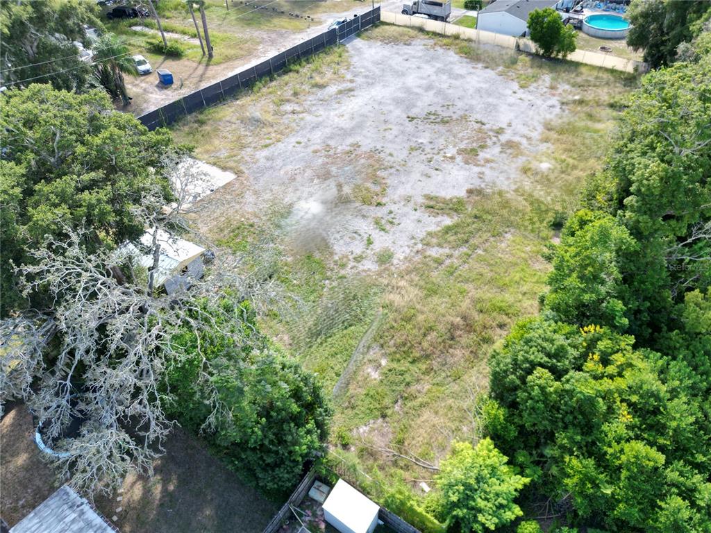 4155 Pine Haven Road New Port Richey, FL 34653 - Photo 6 of 12 a view of a yard with plants