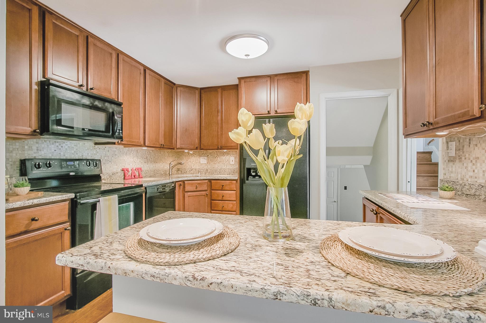 1108 Faun Road Wilmington, DE 19803 - Photo 11 of 27 Update cabinetry & granite counters