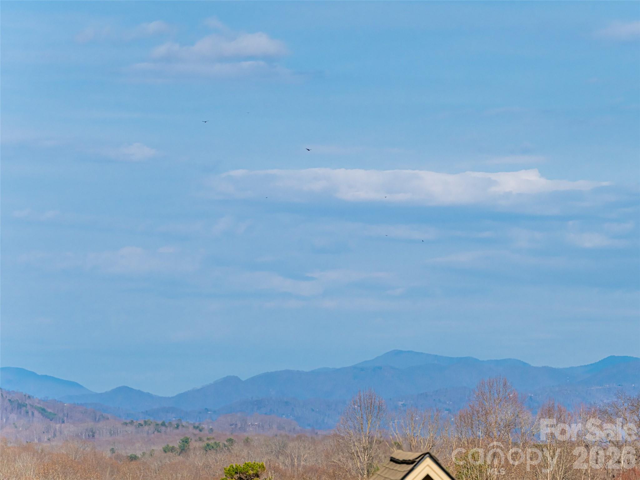 1031 Hillside Ridge Road Candler, NC 28715 - Photo 43 of 48