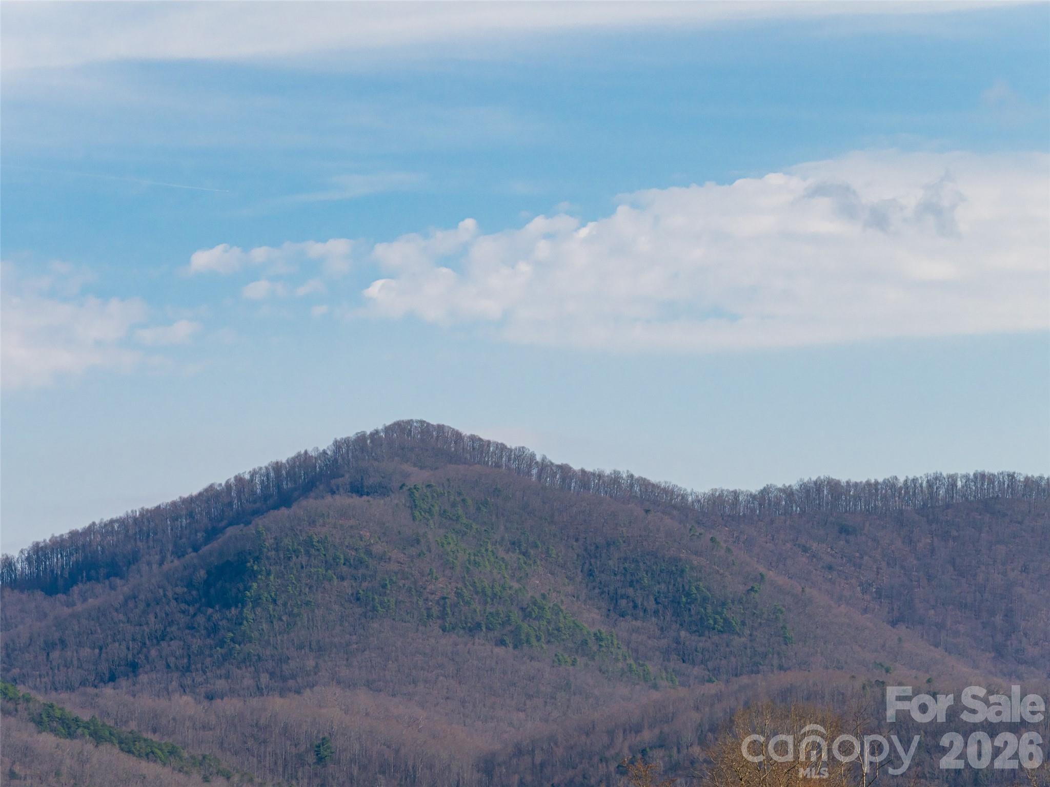 1031 Hillside Ridge Road Candler, NC 28715 - Photo 44 of 48