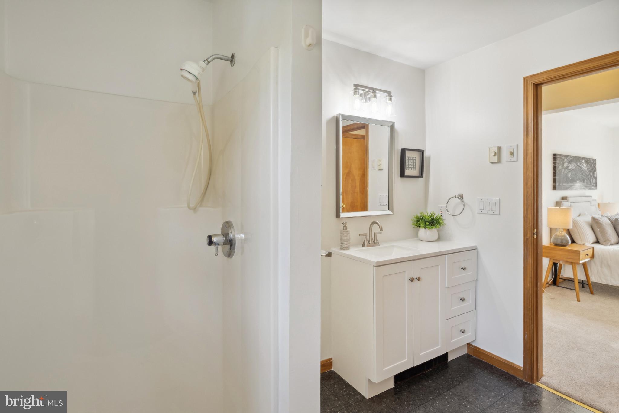 5880 Montgomery Road Elkridge, MD 21075 - Photo 21 of 39 Primary Shower