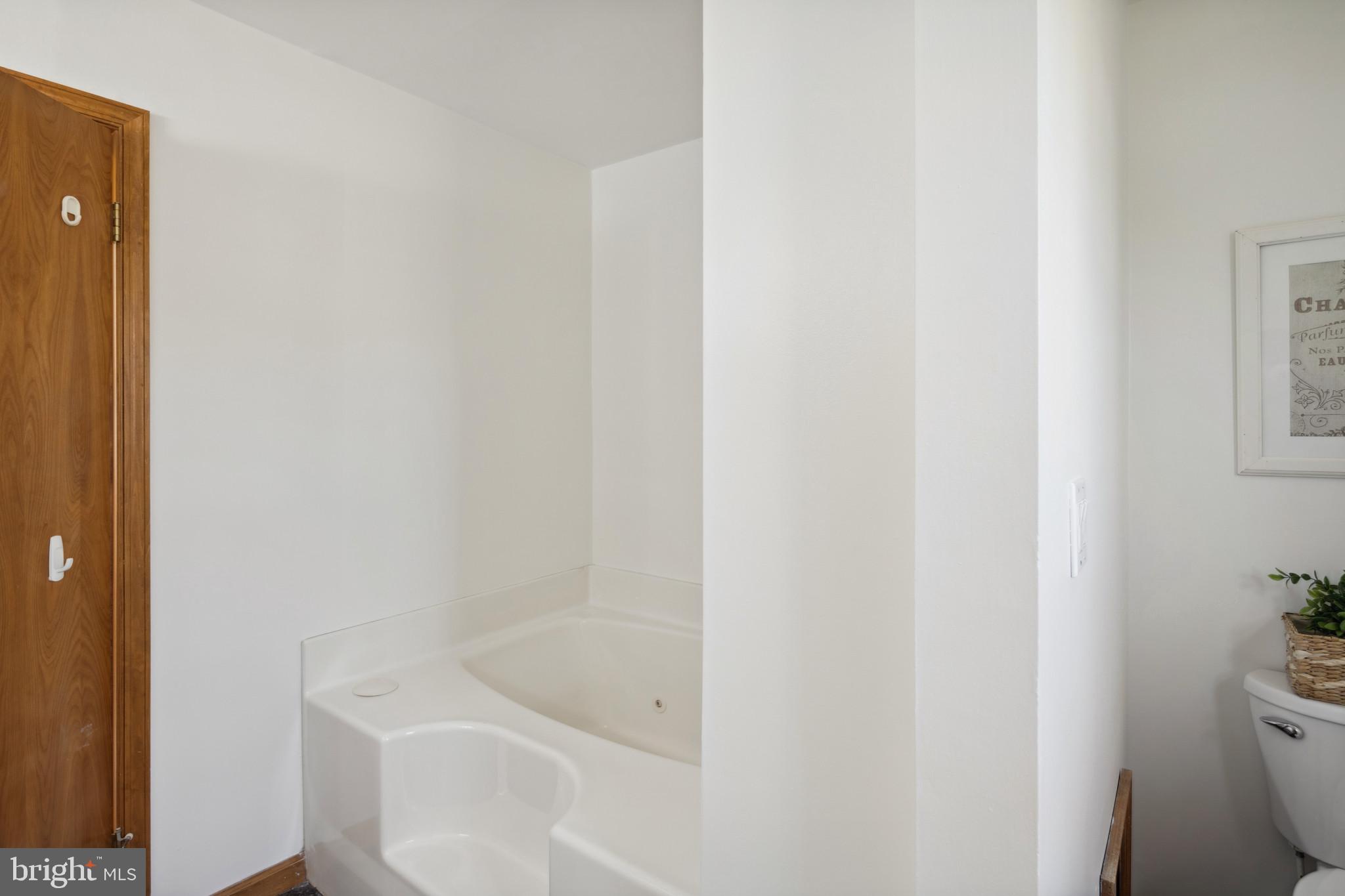 5880 Montgomery Road Elkridge, MD 21075 - Photo 22 of 39 Primary Soaking Tub