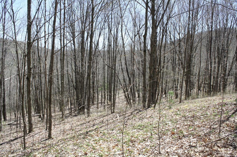 480 Trowbridge Station Road Millerton, PA 16936 - Photo 36 of 77 126390-36
