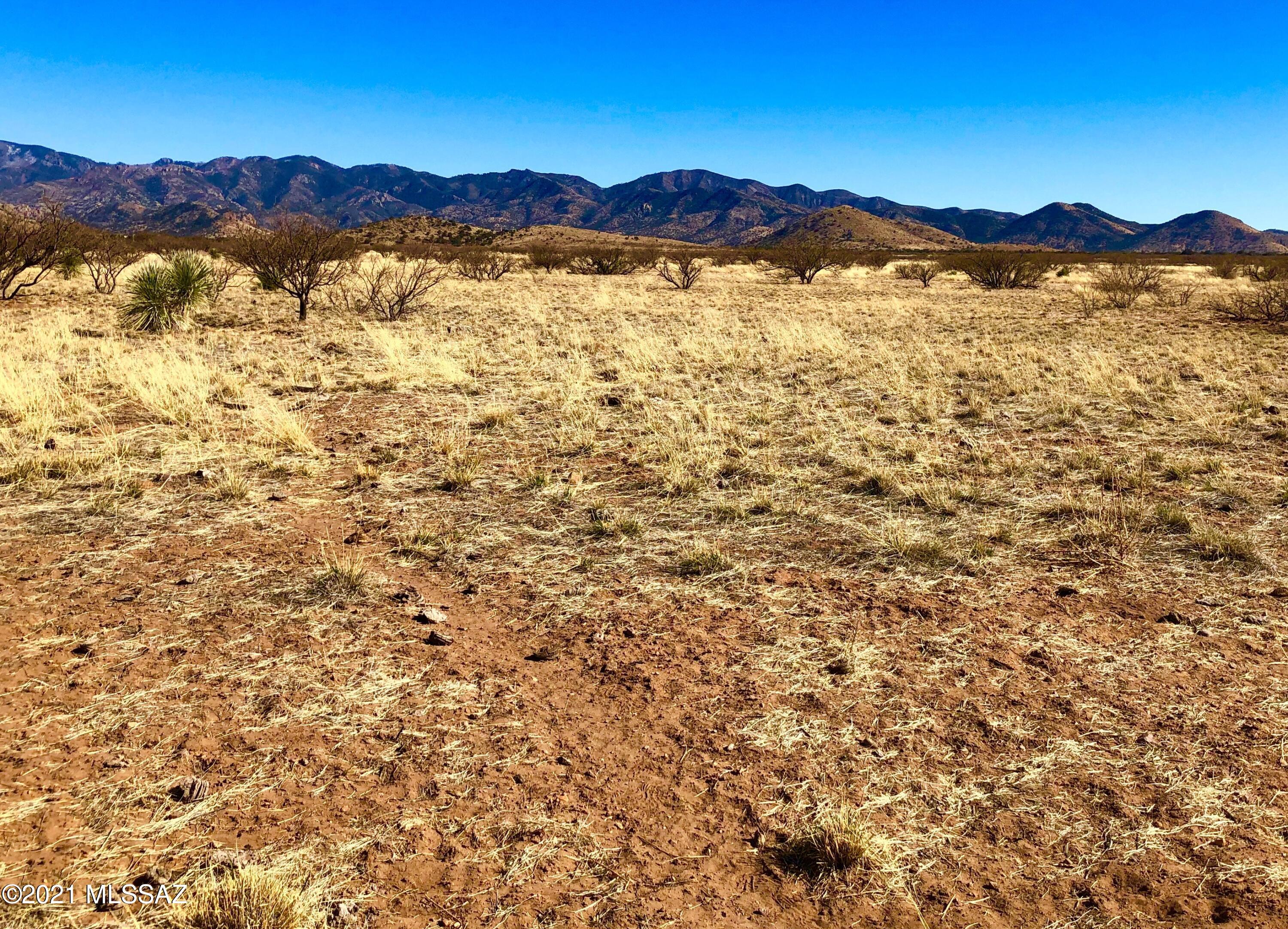 40.16 Ac Pearce, AZ 85625 - Photo 37 of 50