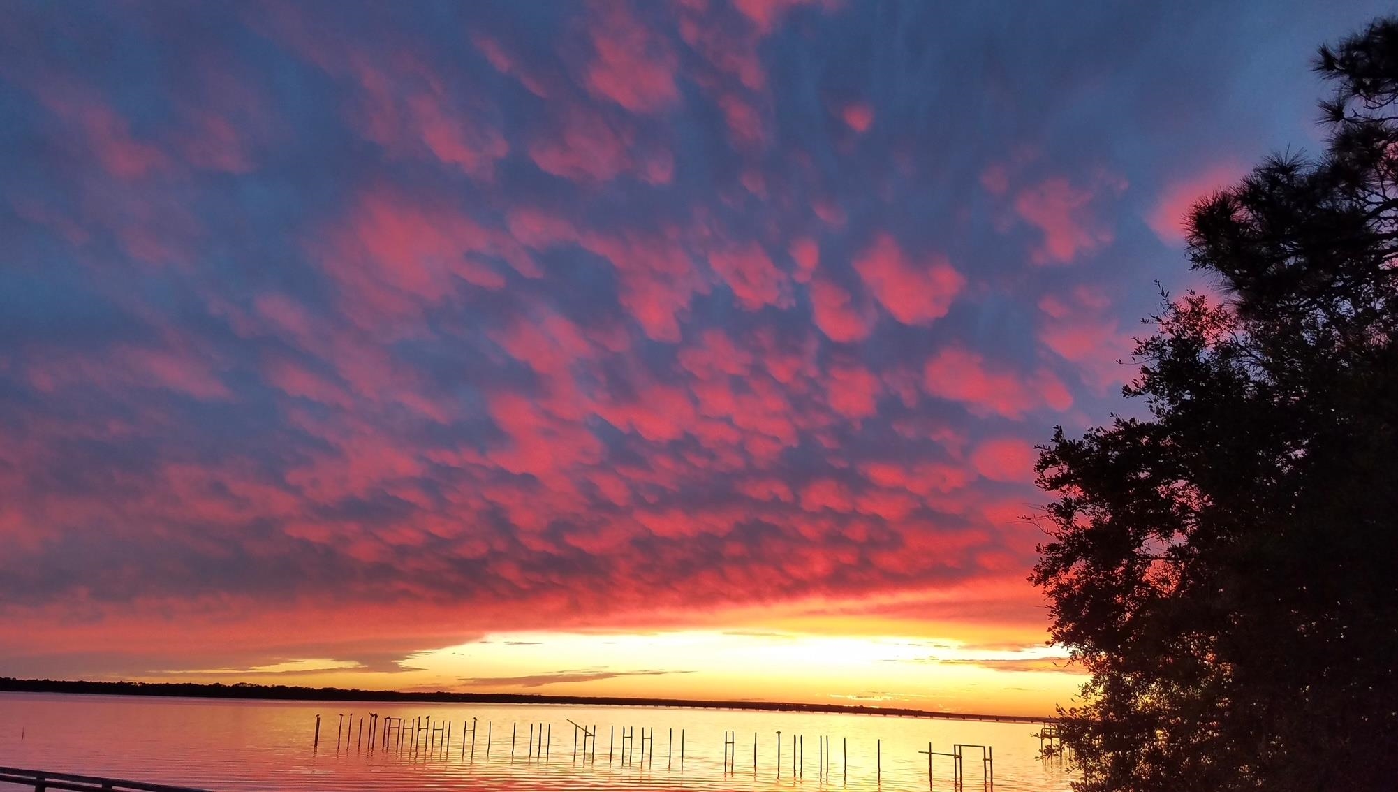 367 Mashes Sands Road Panacea, FL 32346 - Photo 56 of 57