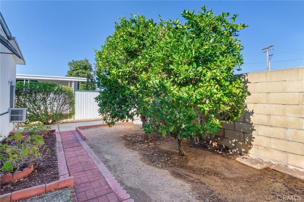 3500 Buchanan Street, Unit 73 Riverside, CA 92503 - Photo 21 of 30 a view of a pathway with a tree