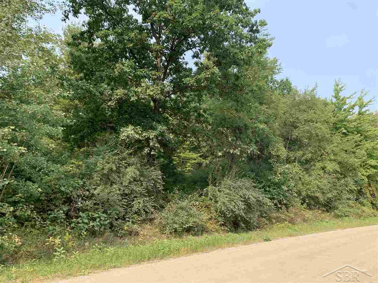 V/l Washburn Road Vassar, MI 48768 - Photo 2 of 5