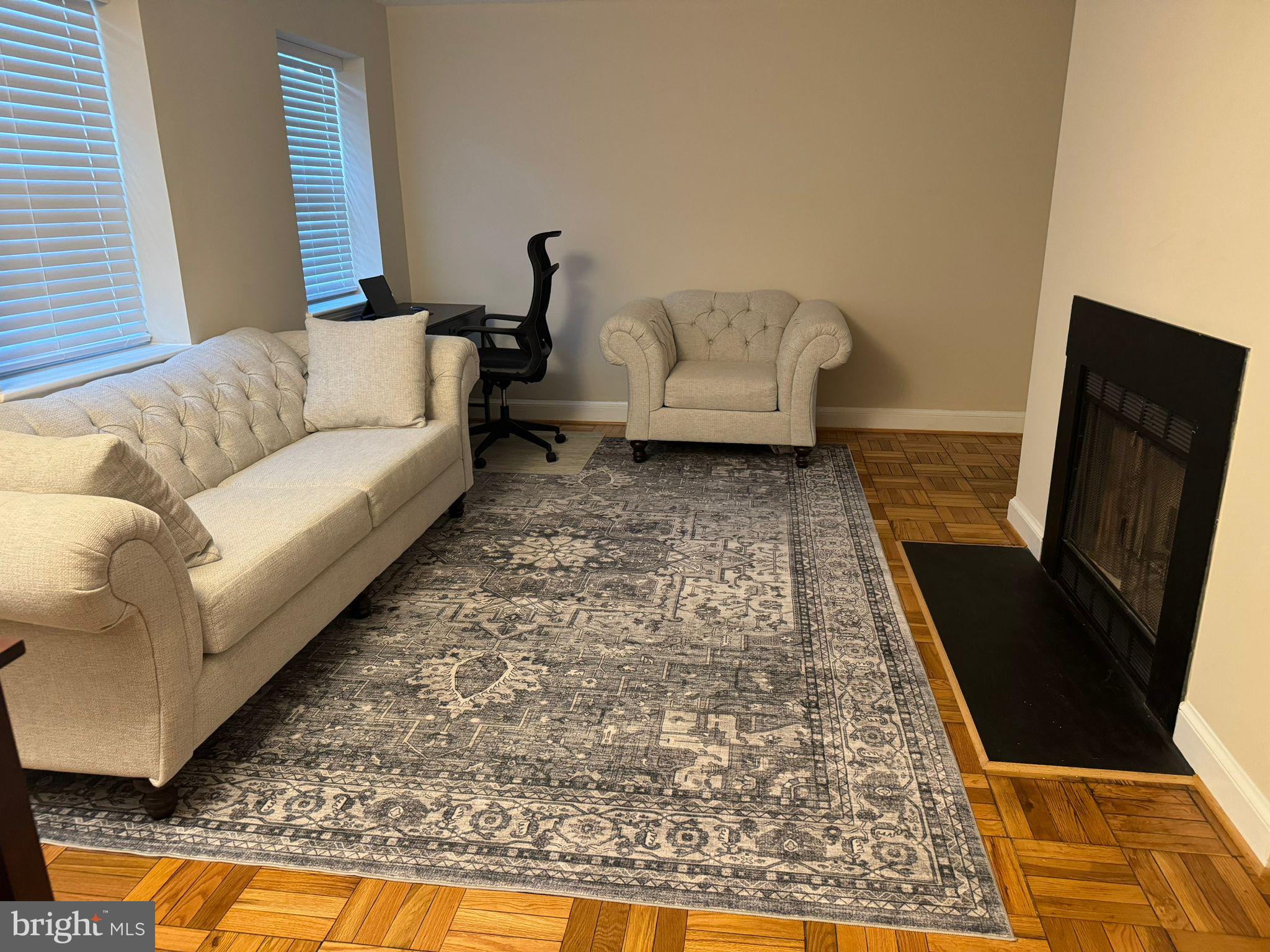 2107 North Scott Street, Unit 67 Arlington, VA 22209 - Photo 15 of 16 a living room with furniture and a rug