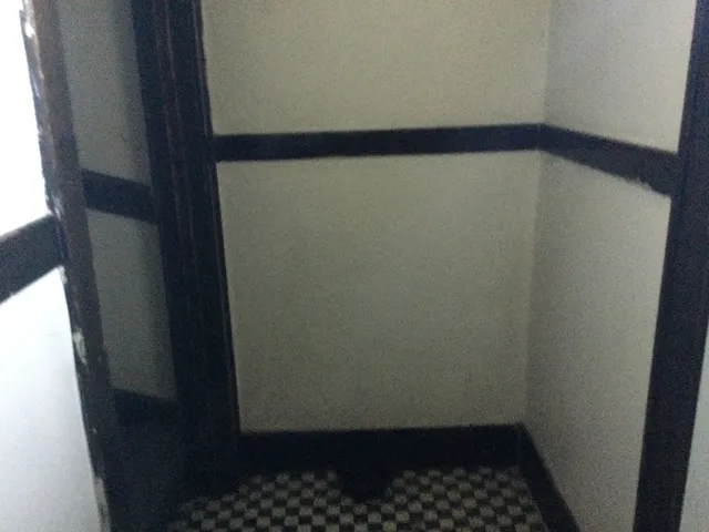 a living room with furniture rug and wooden floor