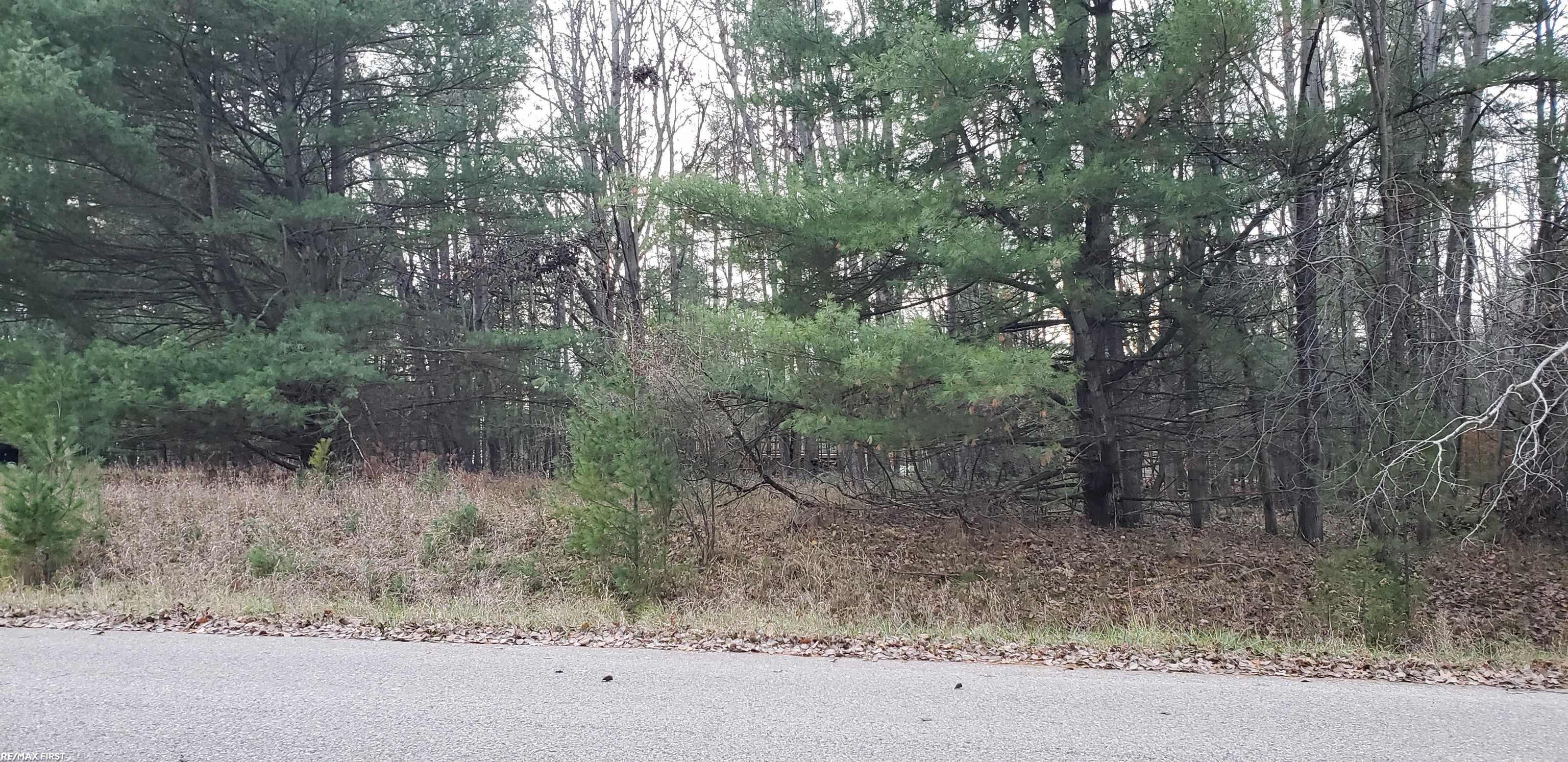 Robindale Way Gladwin, MI 48624 - Photo 2 of 3