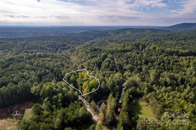 a view of a city with lush green forest