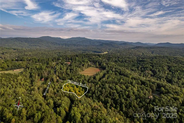 a view of a city with lush green forest