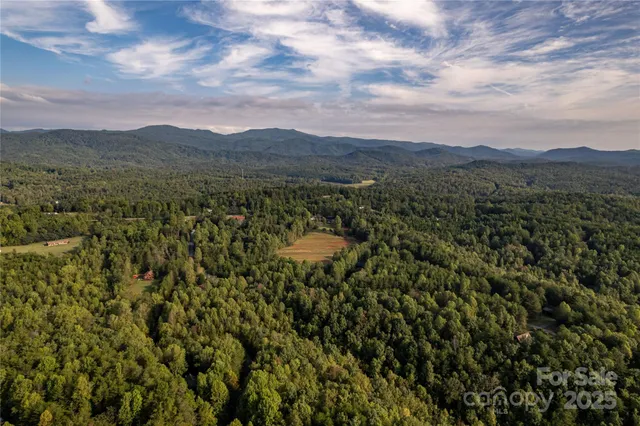 a view of a city with lush green forest