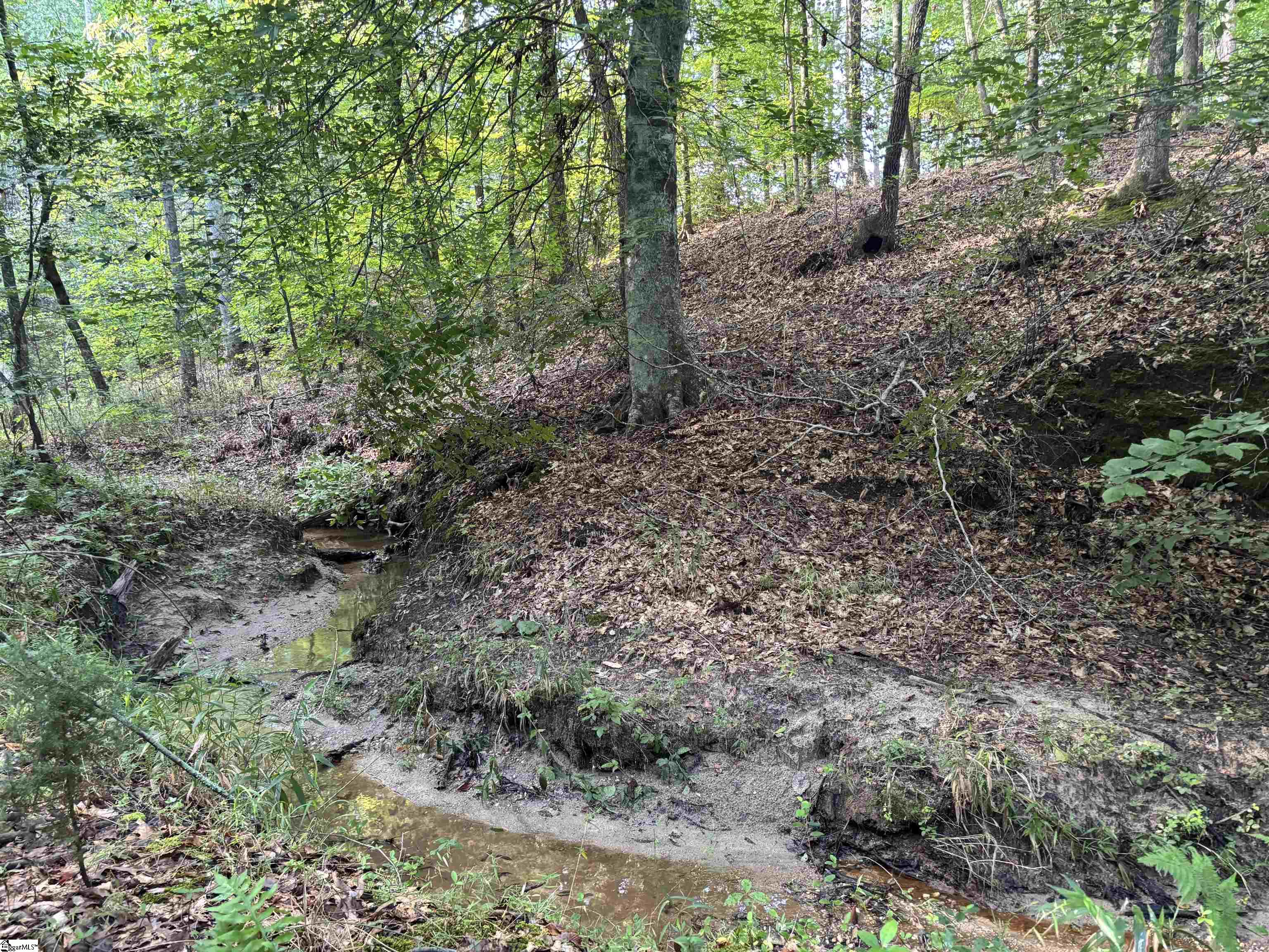 Aeronca Road Belton, SC 29627 - Photo 12 of 24