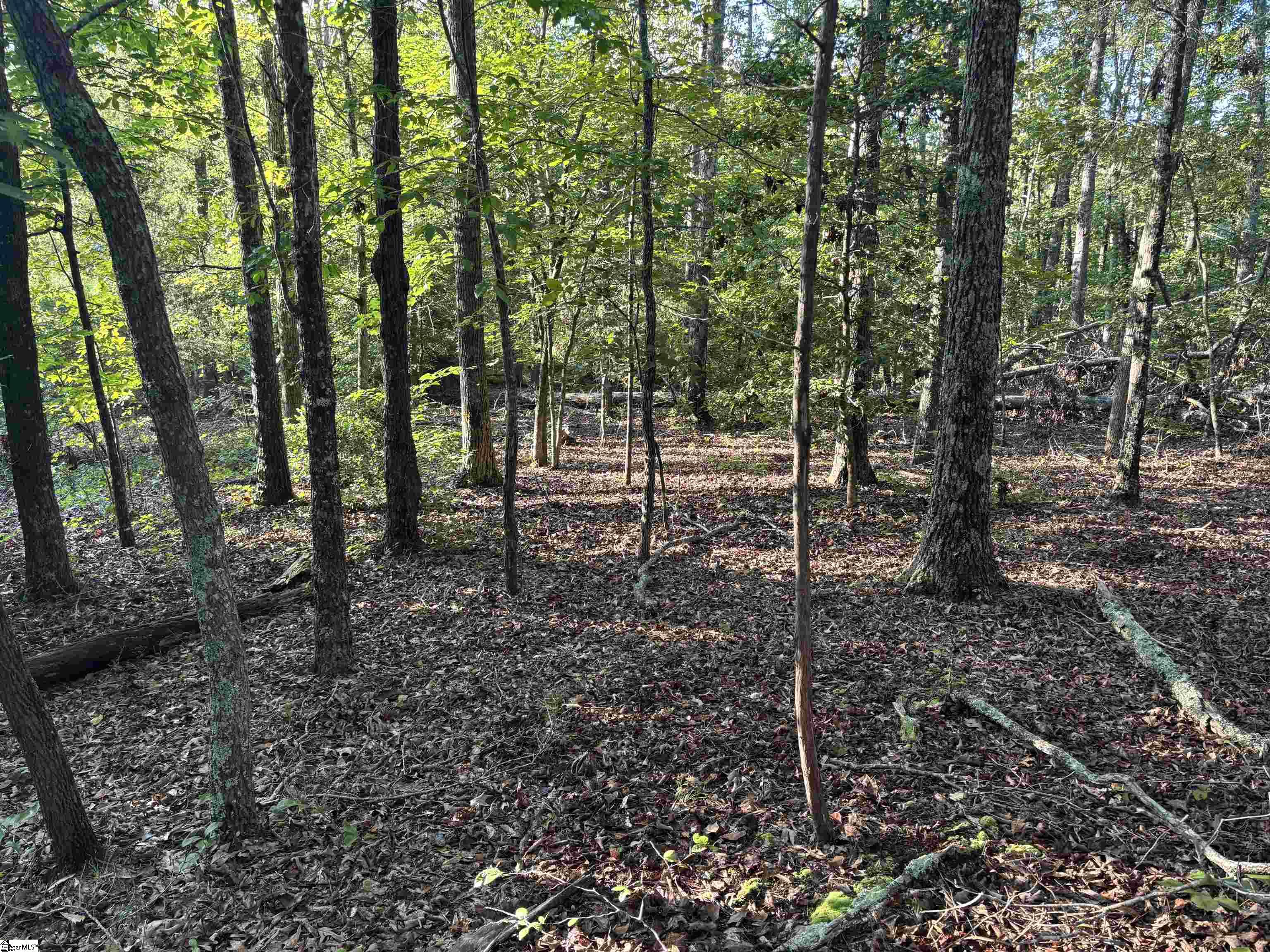 Aeronca Road Belton, SC 29627 - Photo 4 of 24