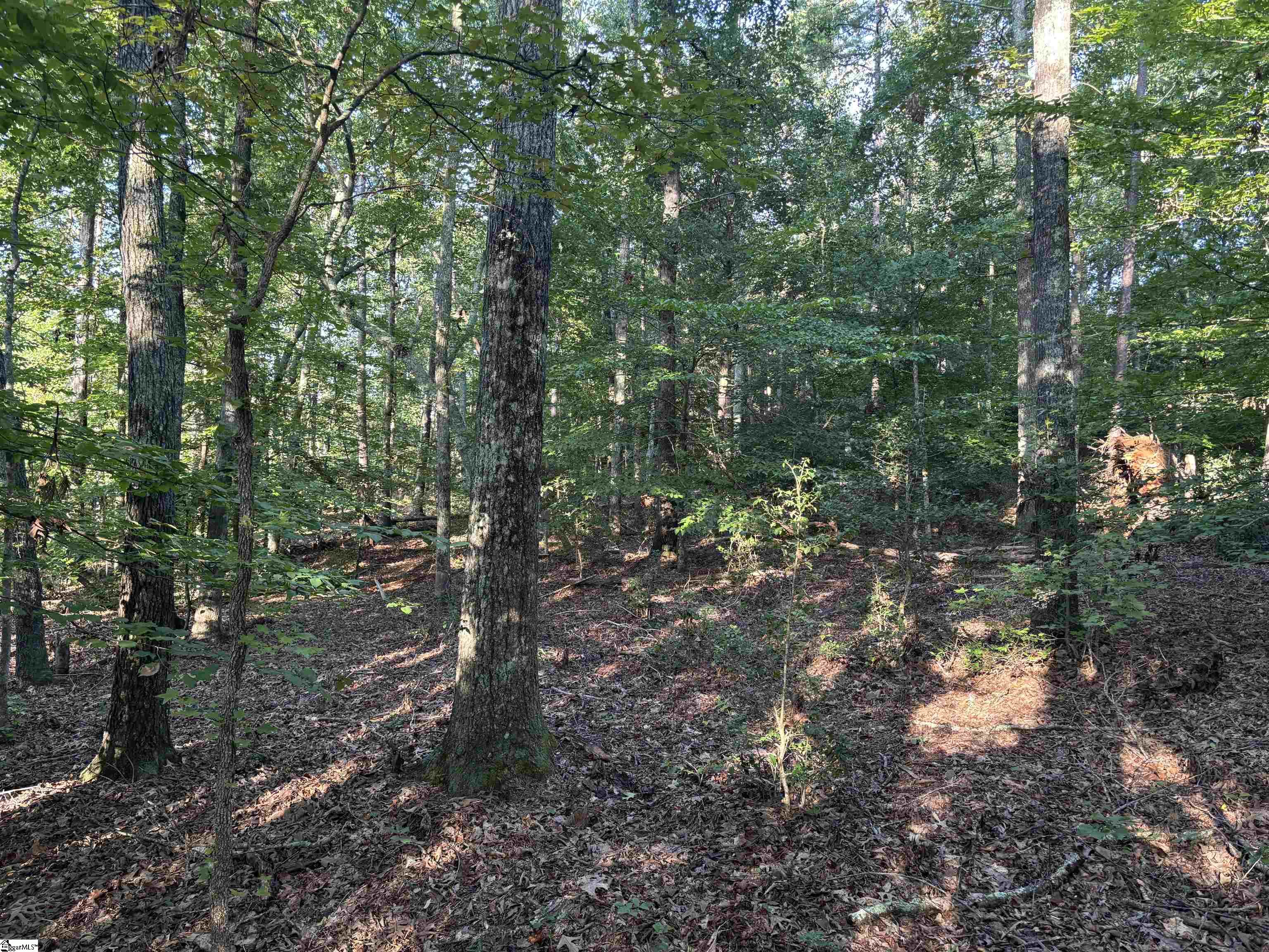 Aeronca Road Belton, SC 29627 - Photo 5 of 24