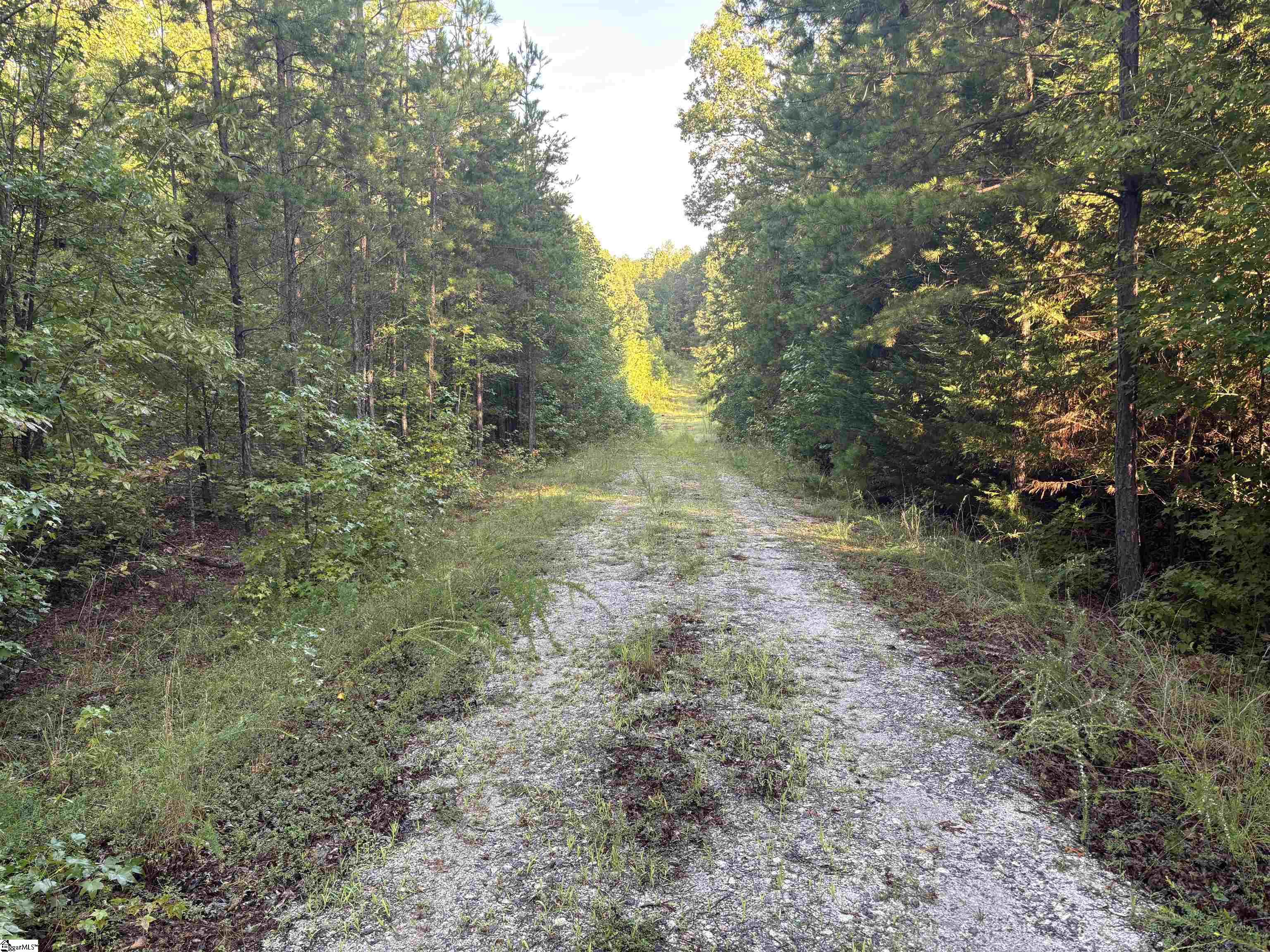 Aeronca Road Belton, SC 29627 - Photo 6 of 24