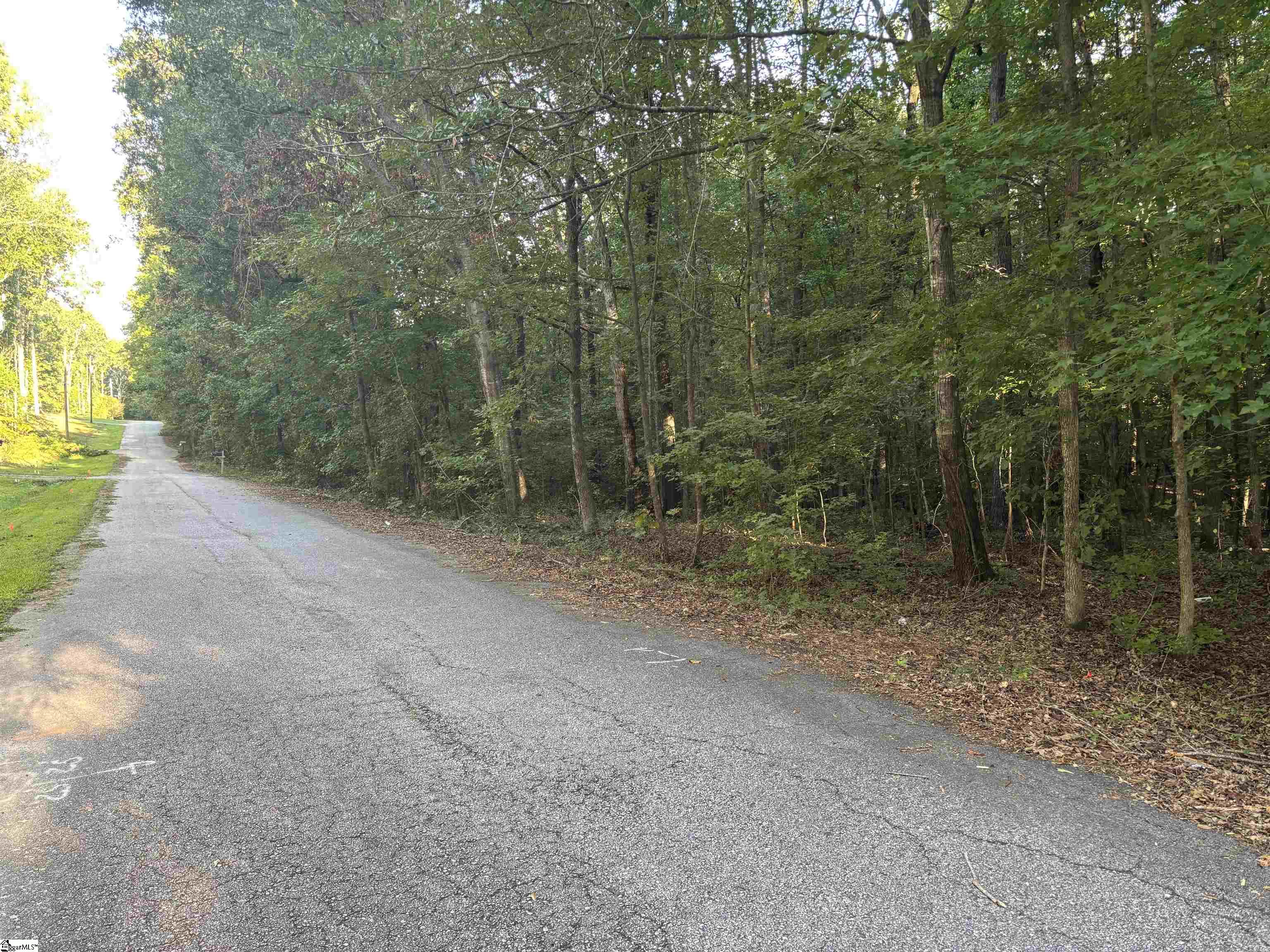 Aeronca Road Belton, SC 29627 - Photo 7 of 24
