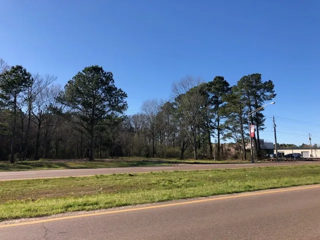 $699,000 | 0 Highway 35, Forest, MS 39074
