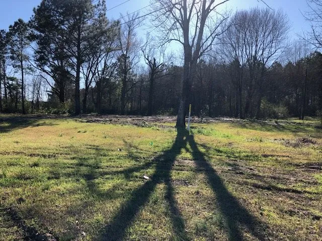 $699,000 | 0 Highway 35, Forest, MS 39074