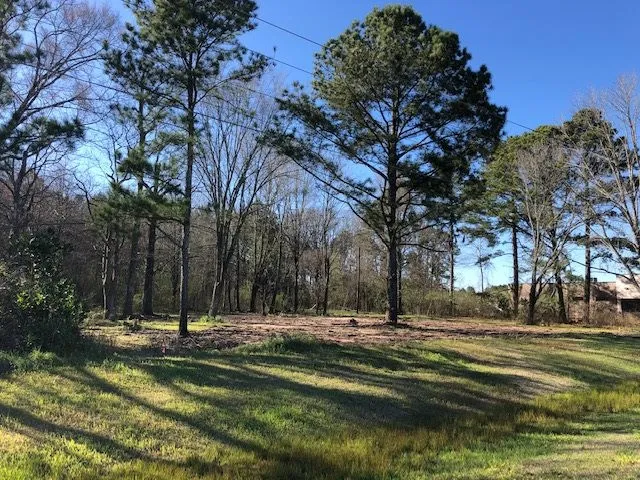 $699,000 | 0 Highway 35, Forest, MS 39074