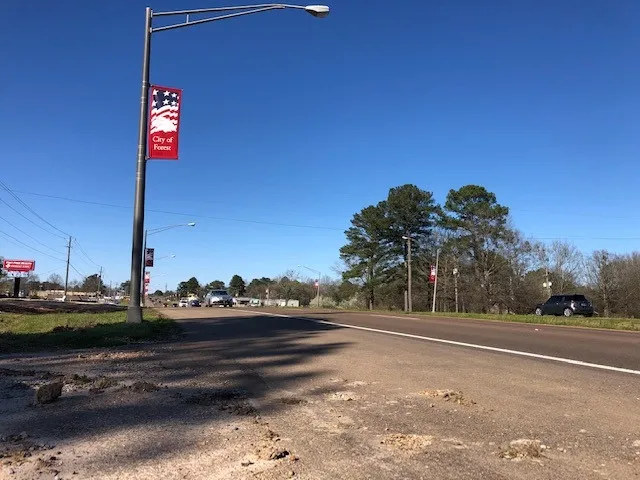 $699,000 | 0 Highway 35, Forest, MS 39074