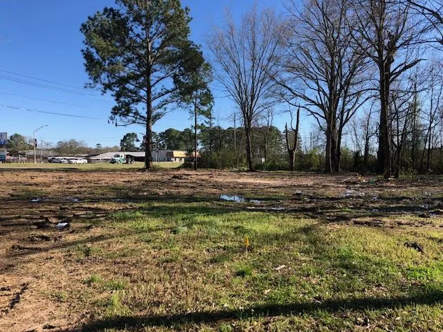 $699,000 | 0 Highway 35, Forest, MS 39074