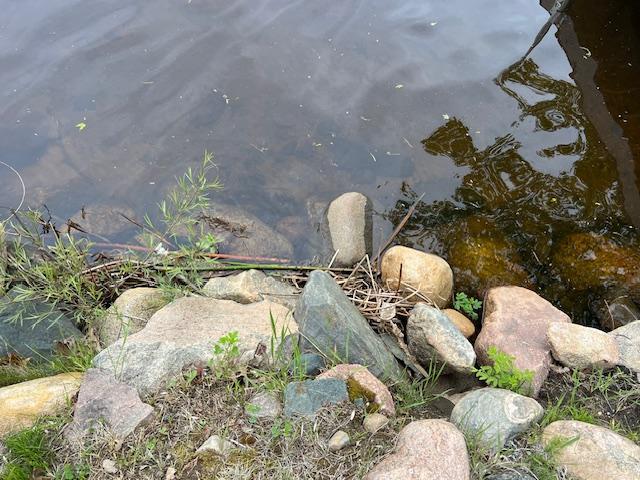 1910 Longwood Point Road Northeast Outing, MN 56662 - Photo 53 of 55