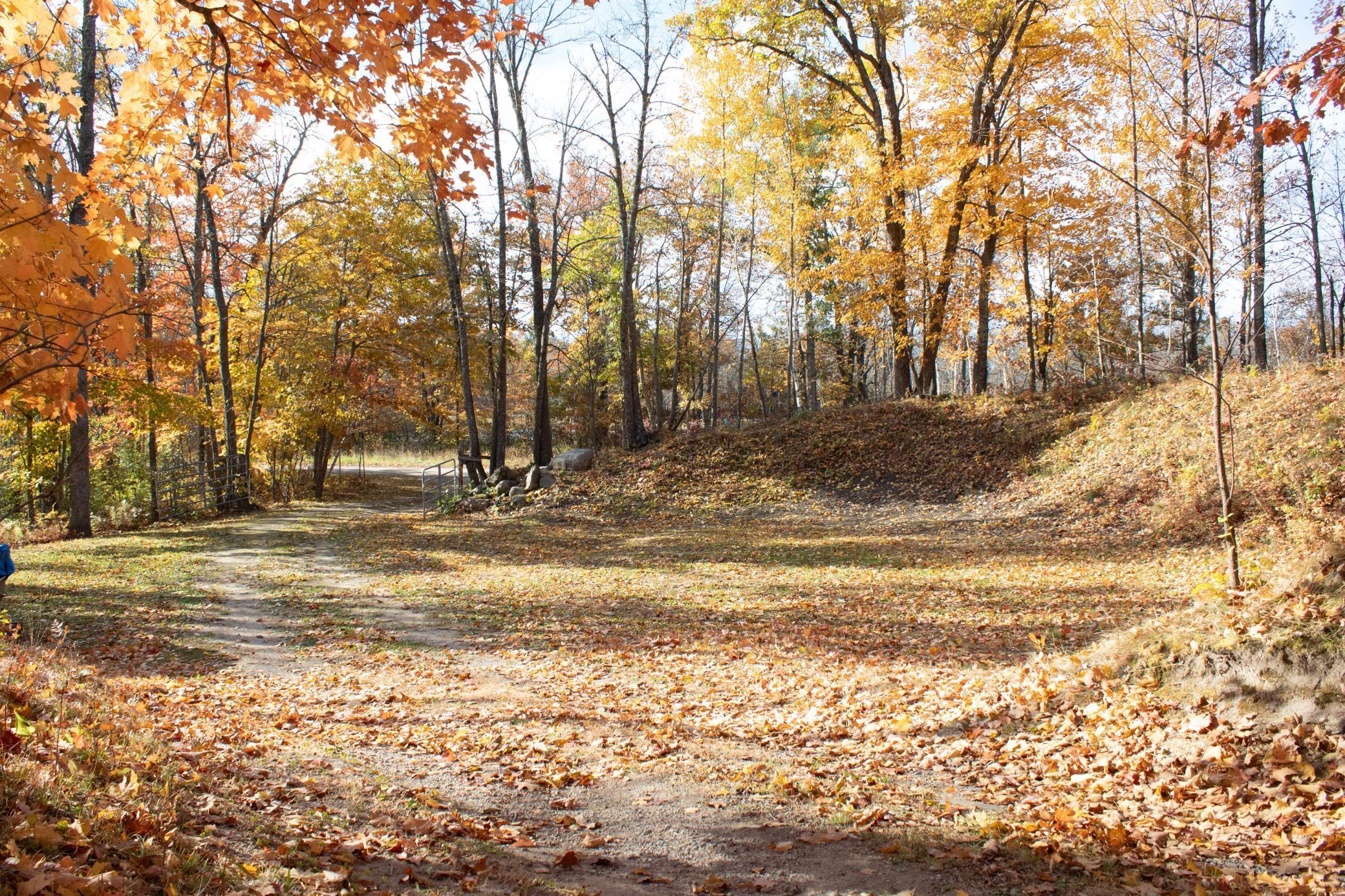 1910 Longwood Point Road Northeast Outing, MN 56662 - Photo 9 of 55