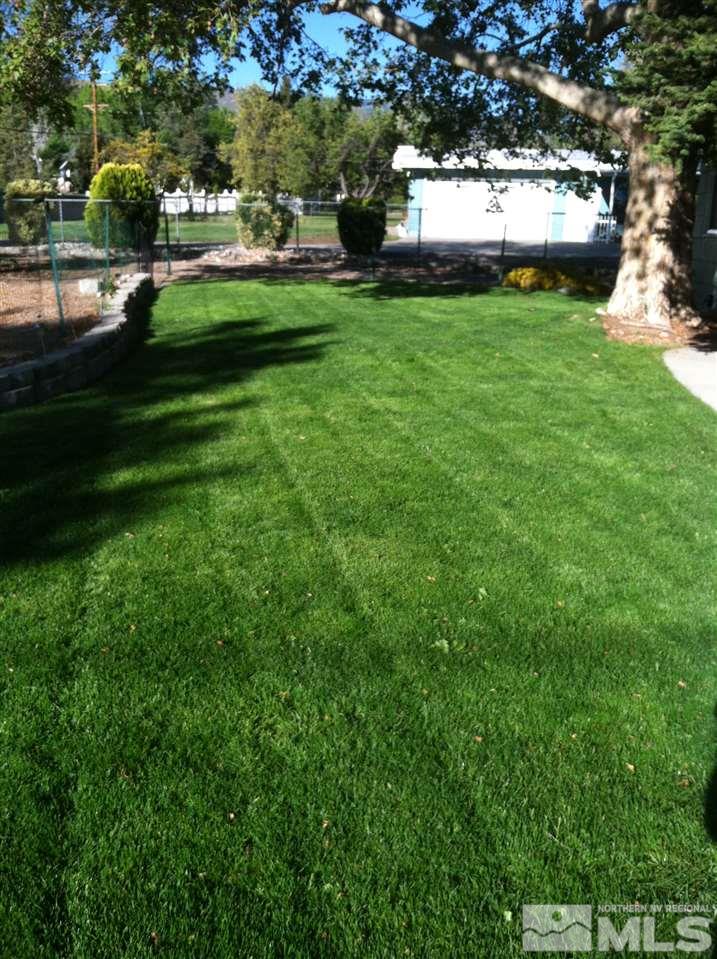 3155 West Plumb Lane Reno, NV 89509 - Photo 6 of 21 a view of a park with large trees