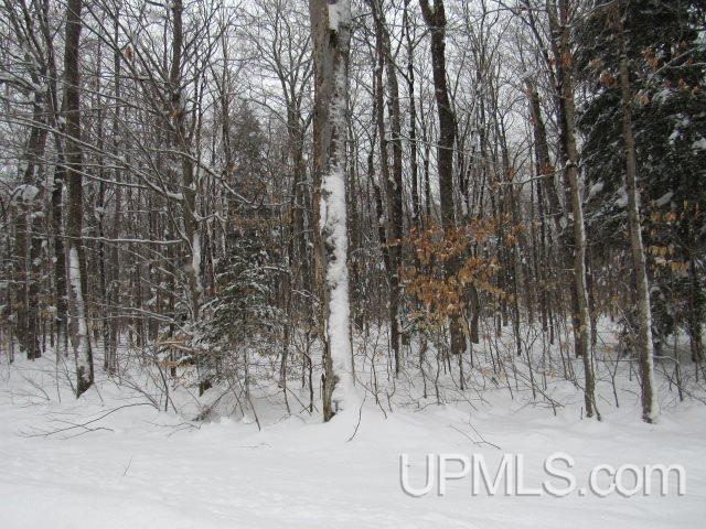 16 Mile Lake Road Munising, MI 49862 - Photo 15 of 16