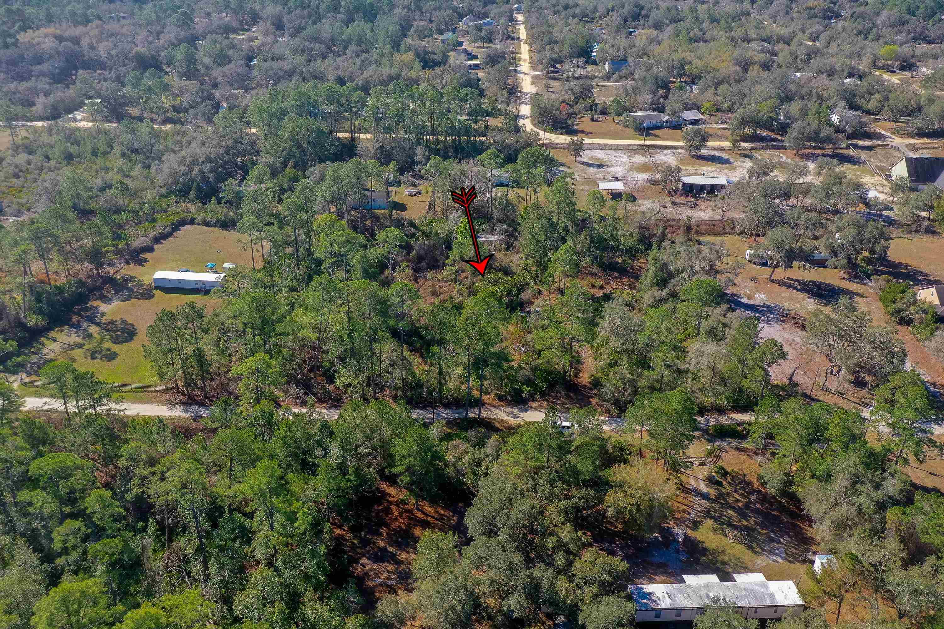 33150 Forest Ridge Road DeLand, FL 32720 - Photo 15 of 15 Gallery Image 15