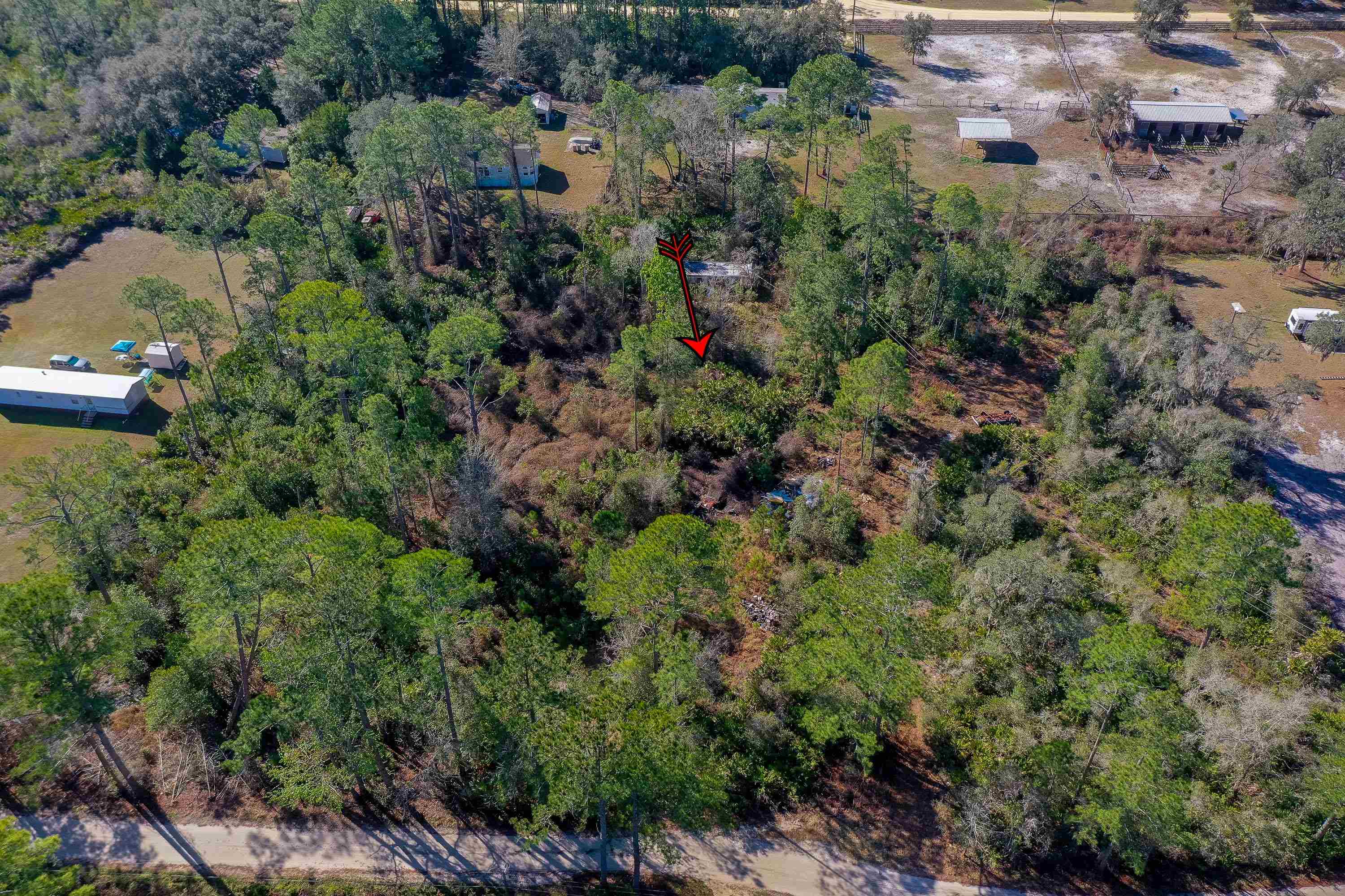 33150 Forest Ridge Road DeLand, FL 32720 - Photo 3 of 15 Gallery Image 3