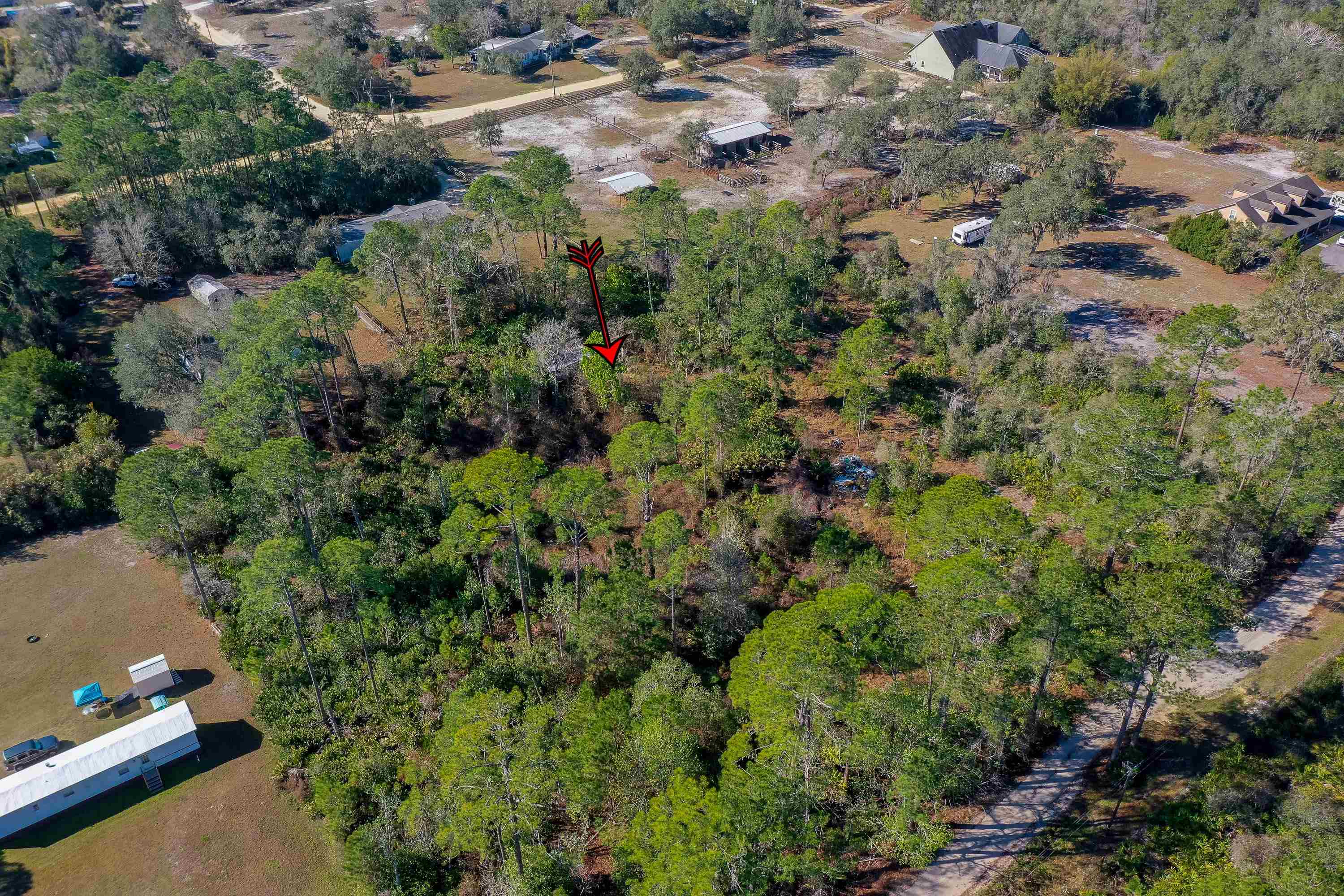 33150 Forest Ridge Road DeLand, FL 32720 - Photo 4 of 15 Gallery Image 4