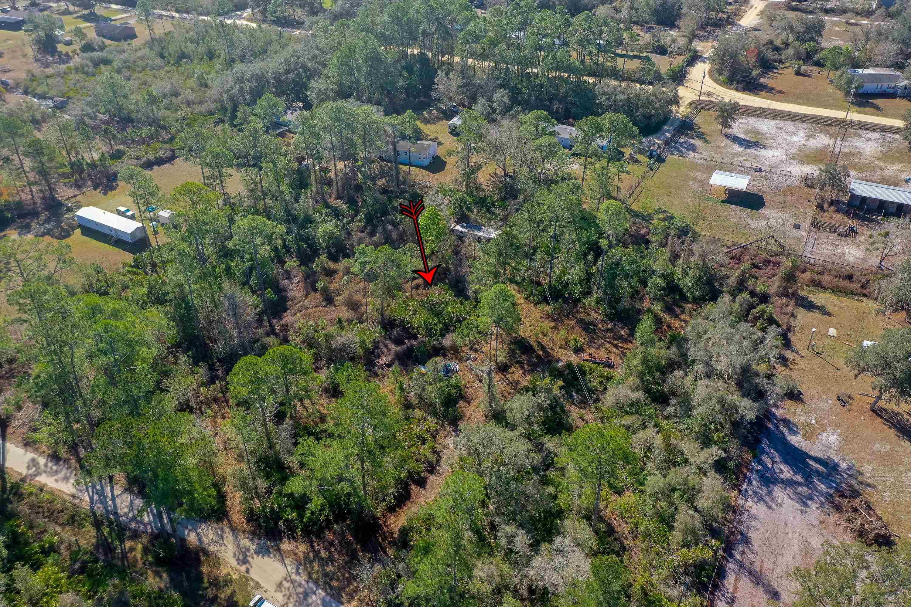 33150 Forest Ridge Road DeLand, FL 32720 - Photo 5 of 15 Gallery Image 5