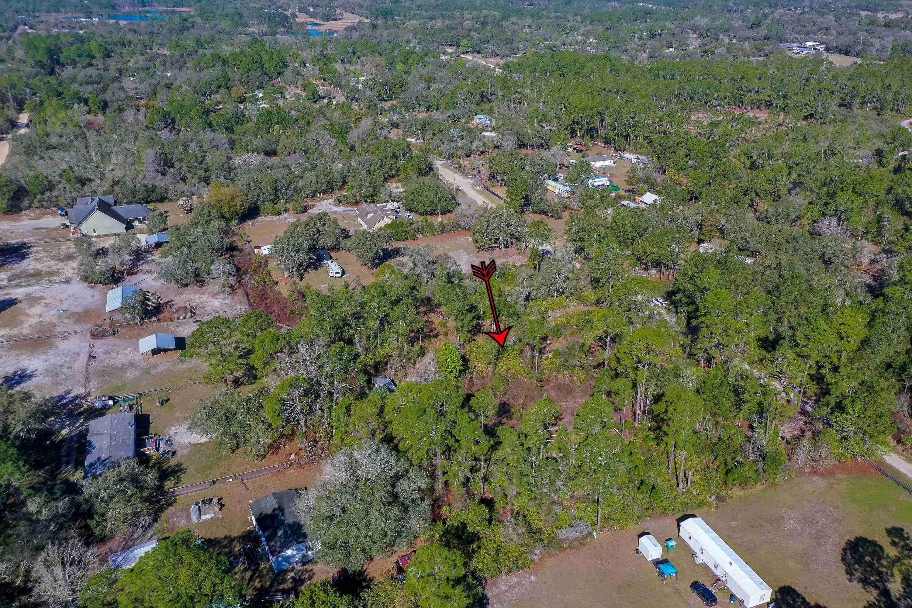 33150 Forest Ridge Road DeLand, FL 32720 - Photo 8 of 15 Gallery Image 8