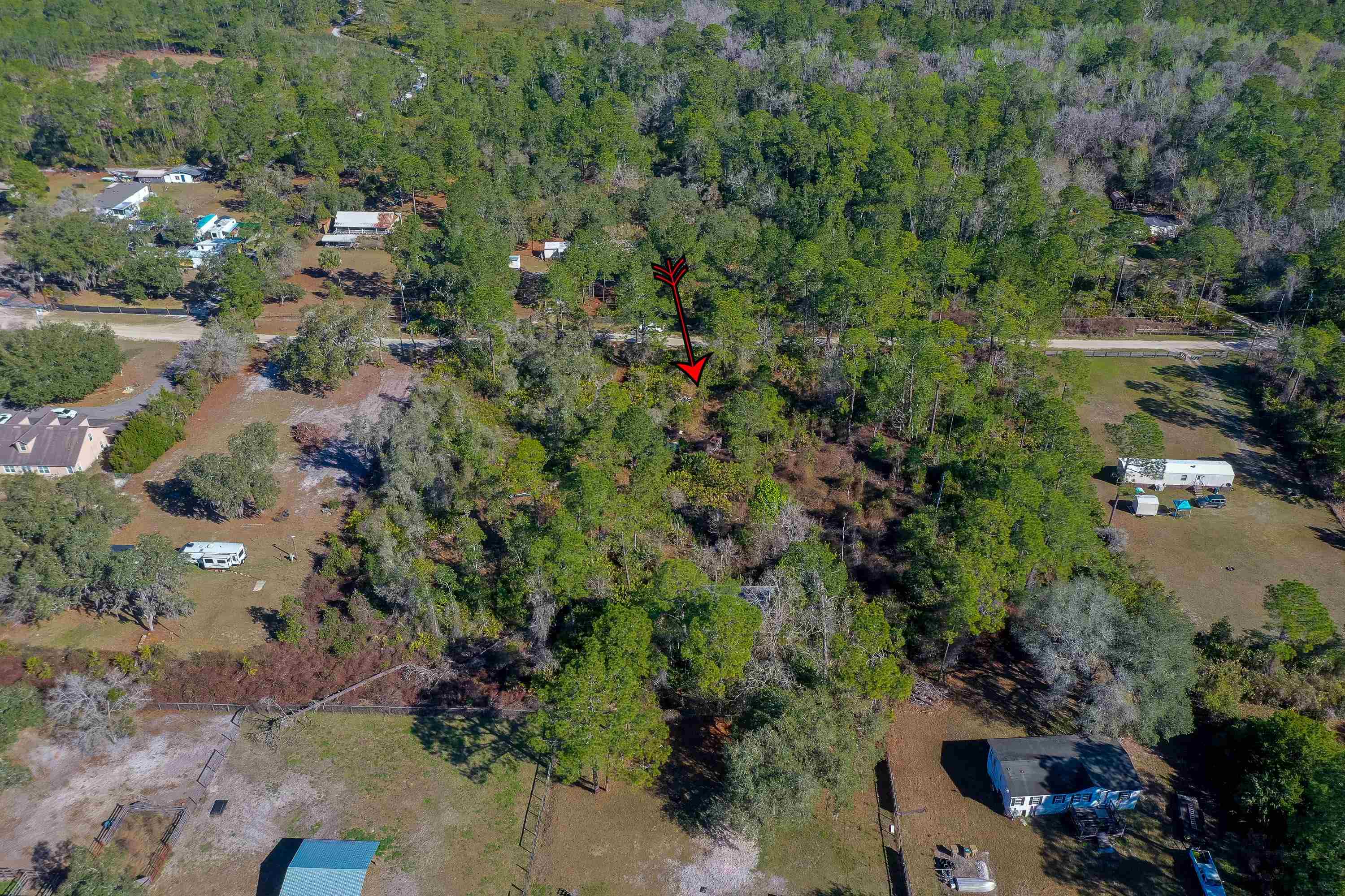 33150 Forest Ridge Road DeLand, FL 32720 - Photo 10 of 15 Gallery Image 10