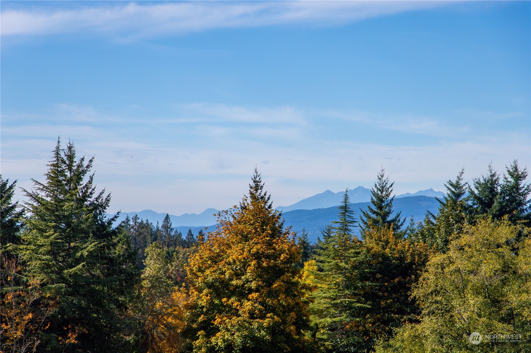 4751 Southeast Horstman Road Port Orchard, WA 98366 - Photo 26 of 40