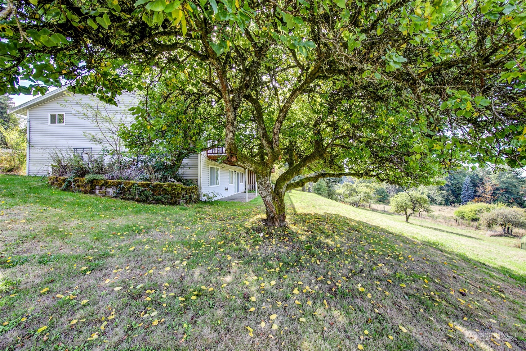 4751 Southeast Horstman Road Port Orchard, WA 98366 - Photo 34 of 40 a backyard of a house with a garden and tree