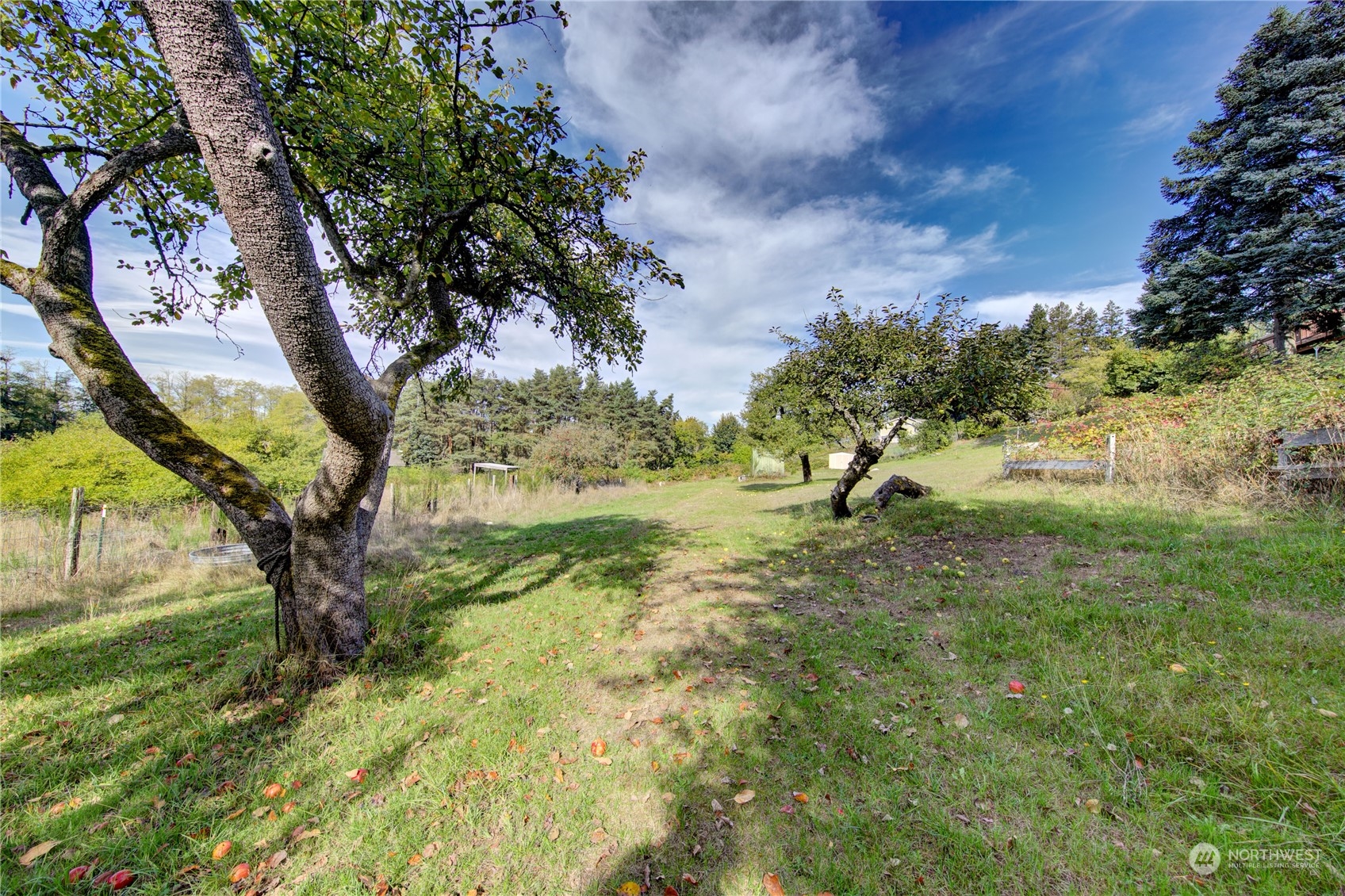 4751 Southeast Horstman Road Port Orchard, WA 98366 - Photo 35 of 40 a view of outdoor space with trees all around