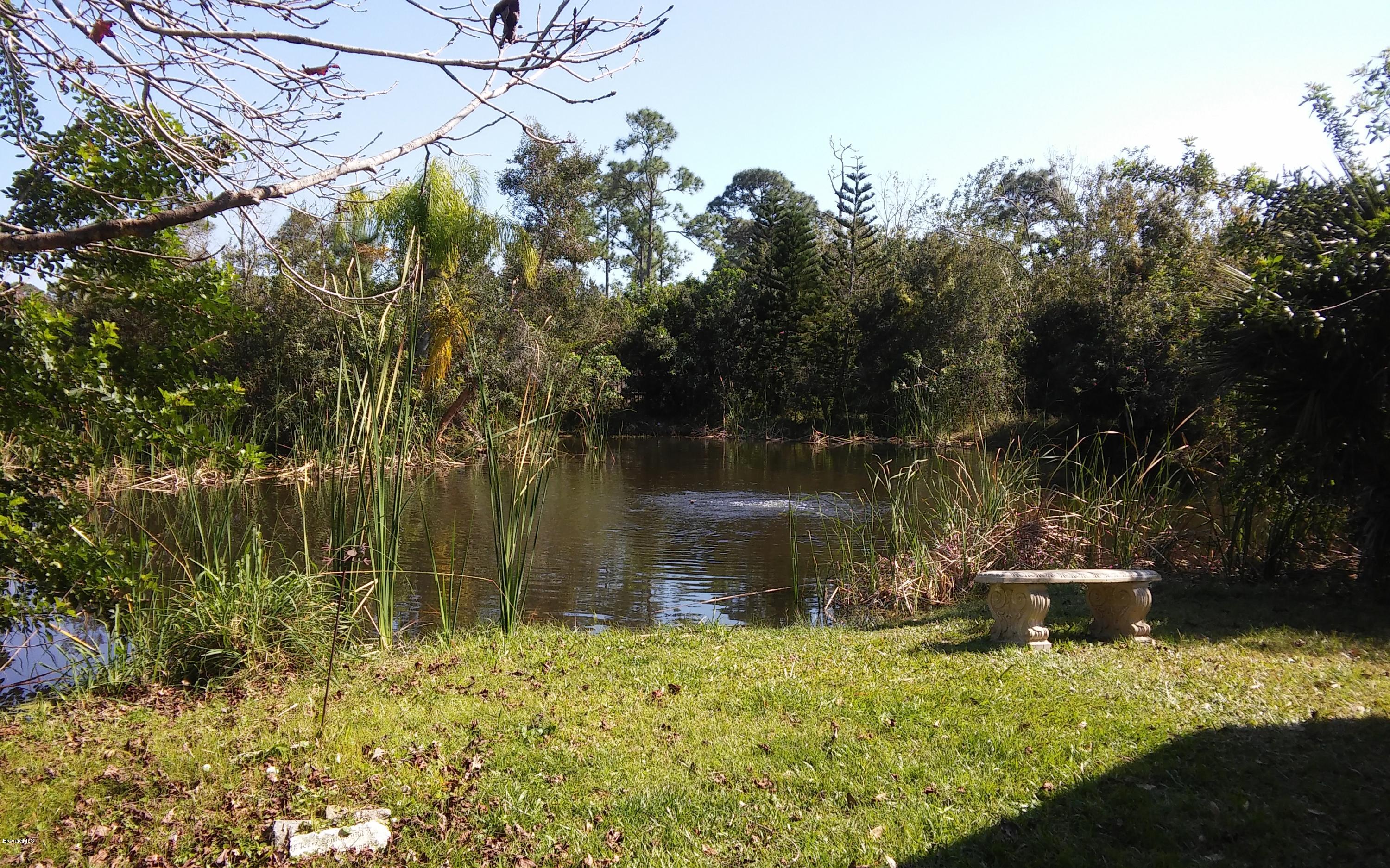 445 Atz Road Malabar, FL 32950 - Photo 8 of 17 Pond