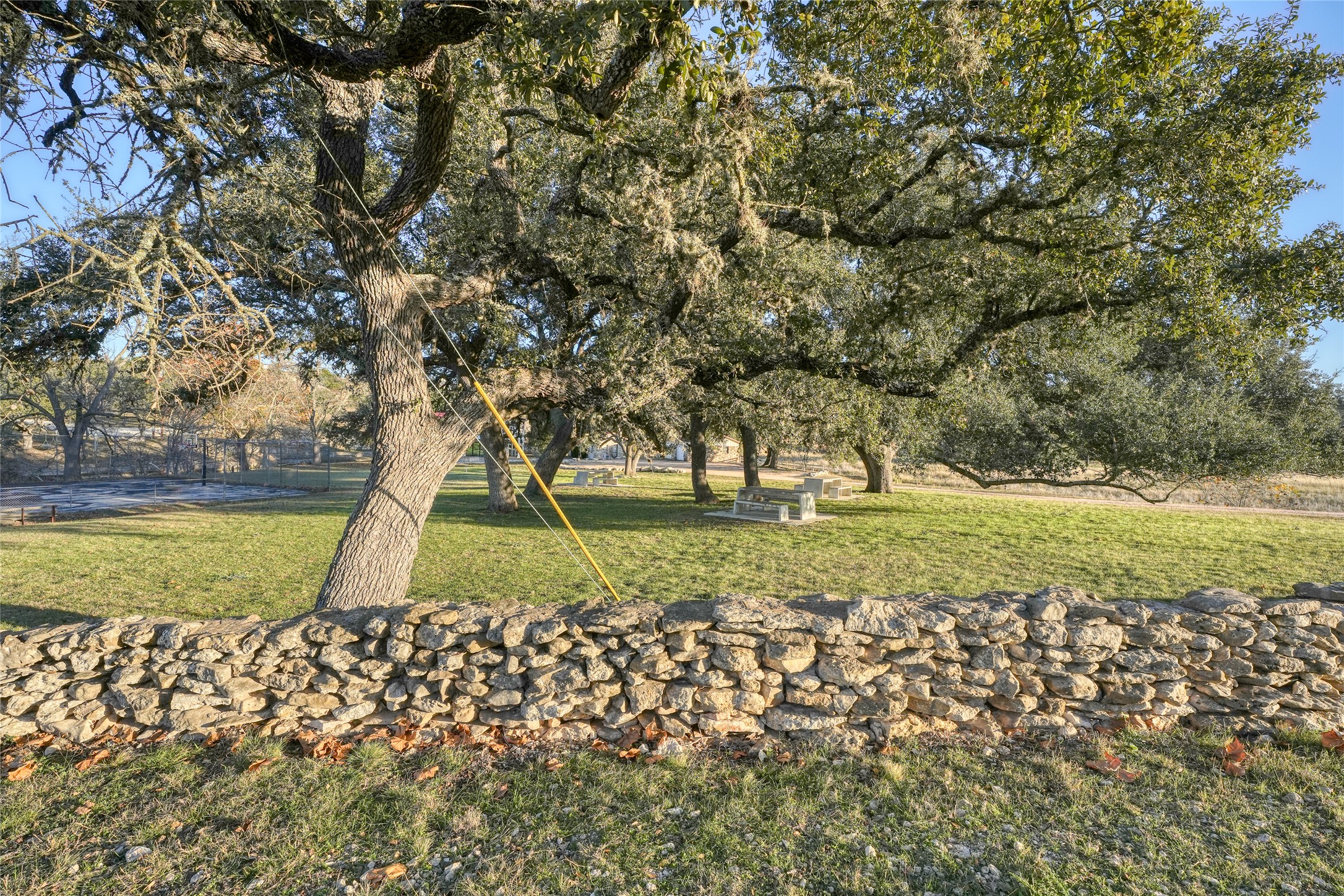 136 Falling Oak Drive Blanco, TX 78606 - Photo 11 of 19 View of home's community featuring a lawn