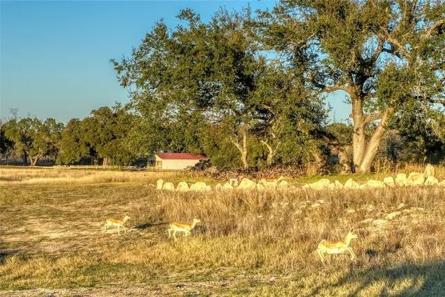 a view of a field with trees in the background