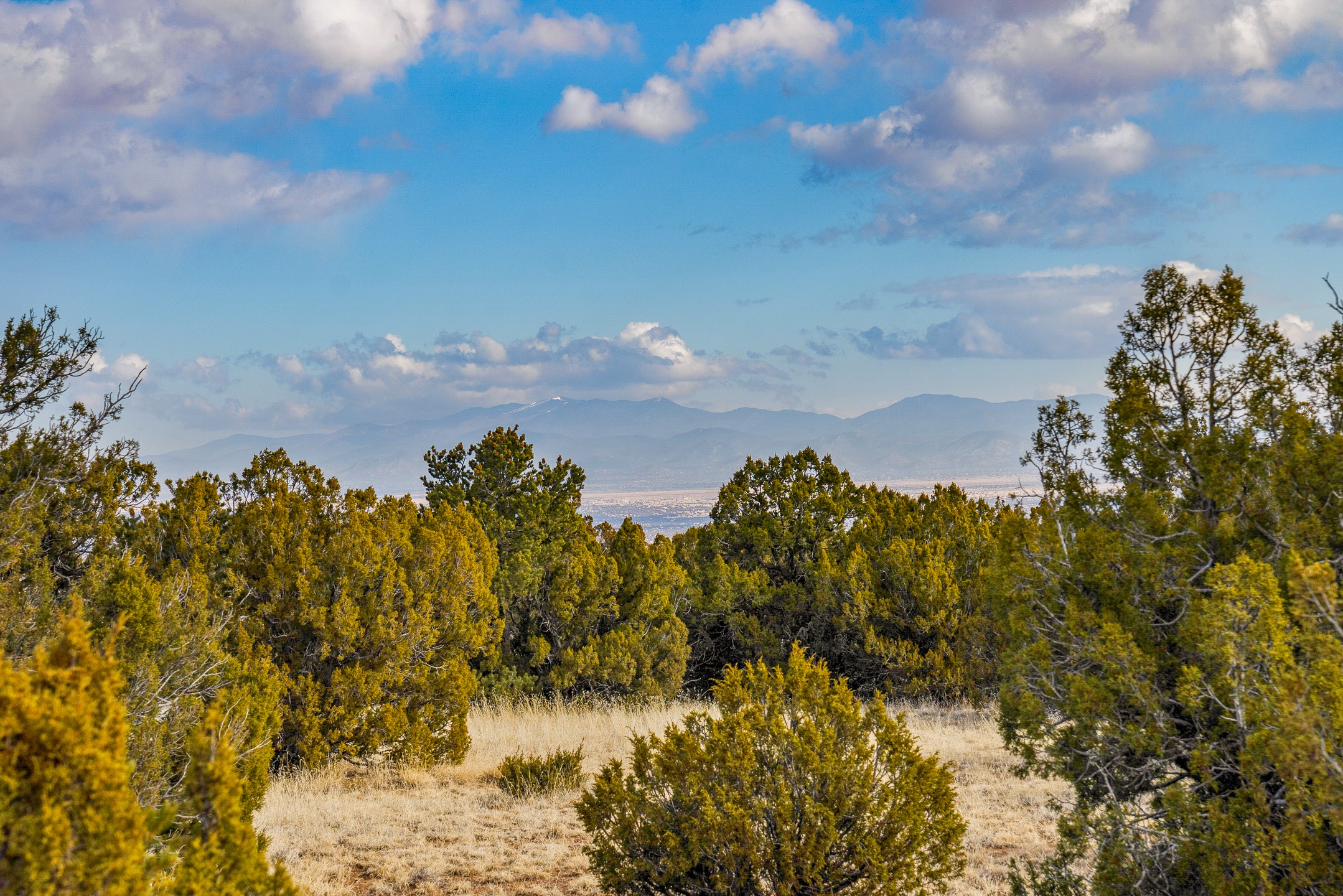 156 Wagon Trail Road Cerrillos, NM 87010 - Photo 15 of 24