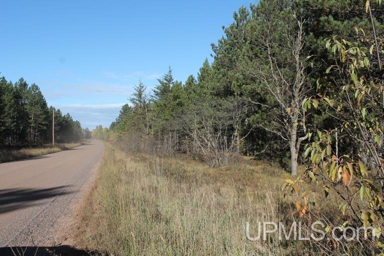 Tbd Missouri Rd - Co Rd 565, Unit LAT 46 31633 LON 87 5822 Gwinn, MI 49841 - Photo 4 of 30