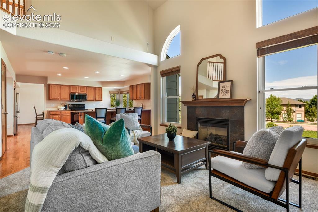 517 Talus Road Monument, CO 80132 - Photo 10 of 50
