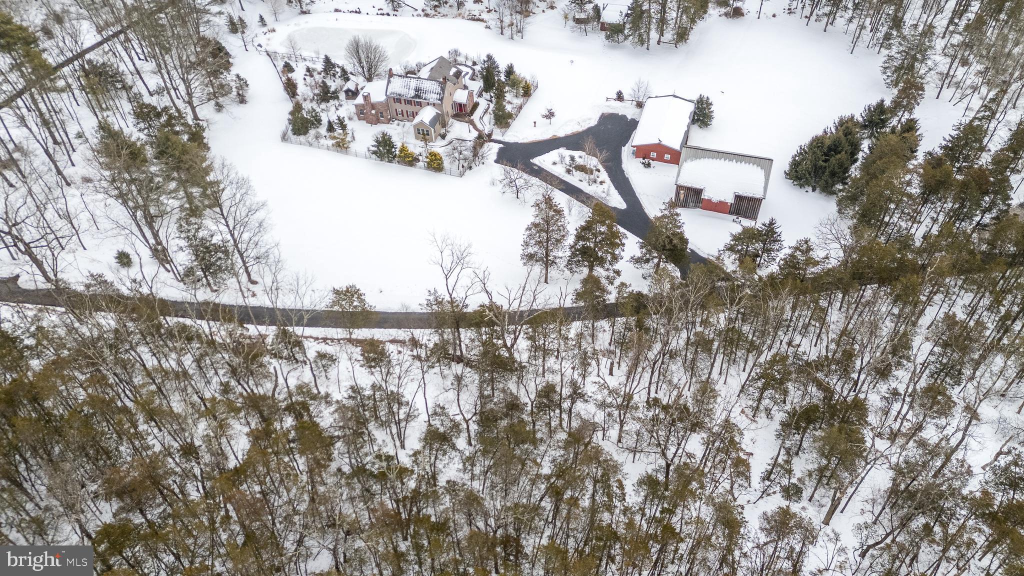 23 Lily Valley Road Erwinna, PA 18920 - Photo 19 of 81 a view of a yard with a tree